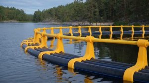 Новая модель 100 тонного рыбоводного садка ИММИД Аквакультура