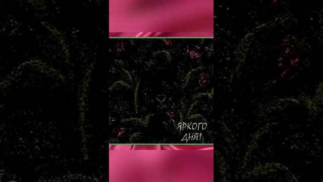 ДЛЯ ХОРОШЕГО ЧЕЛОВЕКА ПОЖЕЛАНИЯ ДОБРОГО ДНЯ. Красивая открытка для хорошего настроения с музыкой. смотреть онлайн