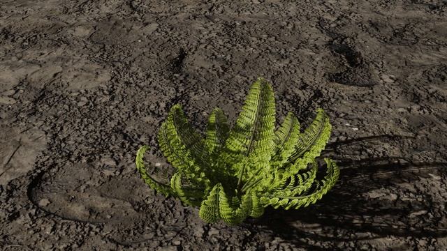 Opening Fern with Geometry Nodes Blender 3.2 смотреть онлайн