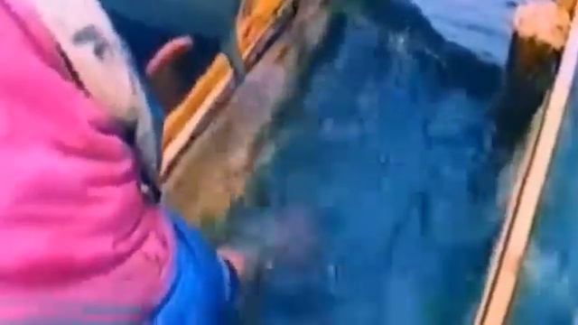 Национальный природный парк «Момский». смотреть онлайн