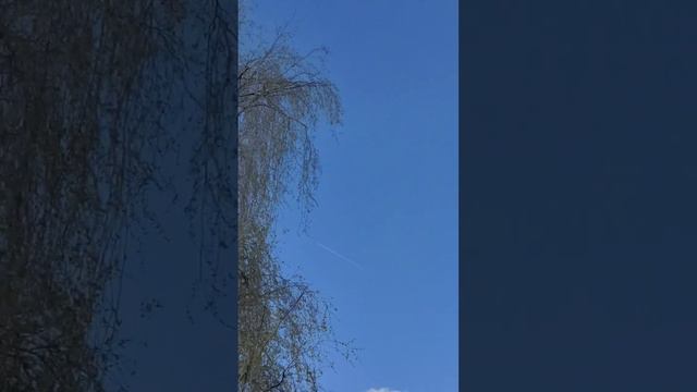 Давайте помогать друг другу. Украинцы в Швейцарии. 18.04.23 смотреть онлайн