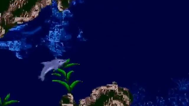 Ecco Junior смотреть онлайн