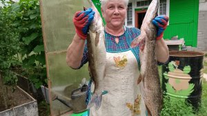 Третий день рыбалки завершён ..Возвращаемся домой...
