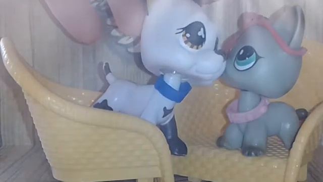 Lps клип пока мы молоды смотреть онлайн
