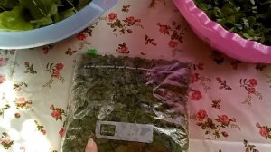 ЗАГОТОВКА  НА ЗИМУ ЩАВЕЛЯ И ШПИНАТА.