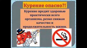 «Про тех, кто курит»: шок-урок о вреде курения