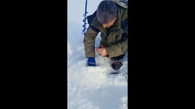 Окуни монстры, Ульяновска смотреть онлайн