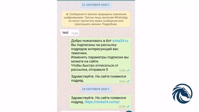 Сивка 24. Выпуск Акселератора Techno Skolkovo Community смотреть онлайн