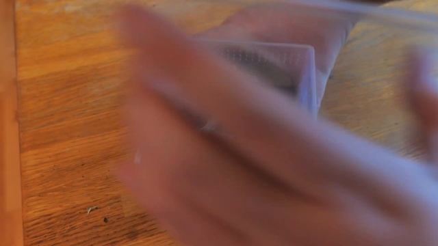 Davus (formerly Theraphosinae) sp Panama Enclosure Build and Rehouse смотреть онлайн