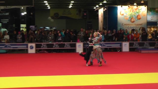 Чемпионат Москвы 2013 по танцам с собаками. смотреть онлайн