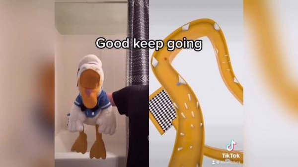 Donald Ducc FUNNIEST MOMENTS On TikTok! 11 (DONT LAUGH CHALLENGE)