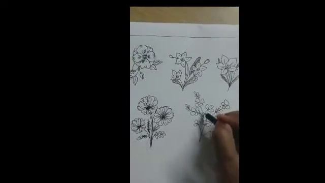 HOW TO DRAW DIFFERENT BEAUTIFUL FLOWERS IN A SIMPLE WAY FOR KIDS/FOR CLASS 5 STEP BY STEP/WEEK -3 смотреть онлайн