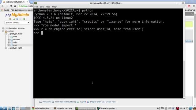 Executing Custom SQL Statements in Flask-SQLAlchemy смотреть онлайн