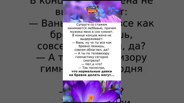 Гимнастическое бревно #смех #анекдоты #шутки #радость #приколы #юмор #анекдотыновые смотреть онлайн