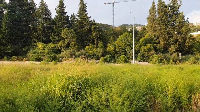 Сочи Адлер -Сириус Сочи Парк сегодня ,село Веселое.Дорога к Абхазии. Плюсы и минусы проживания. смотреть онлайн
