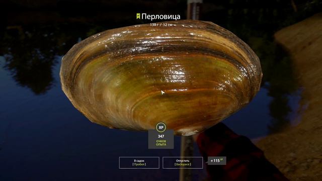 НОВОГОДНИЕ ЗАДАНИЯ 🐟 Russian Fishing 4 ● Прохождение #8 смотреть онлайн
