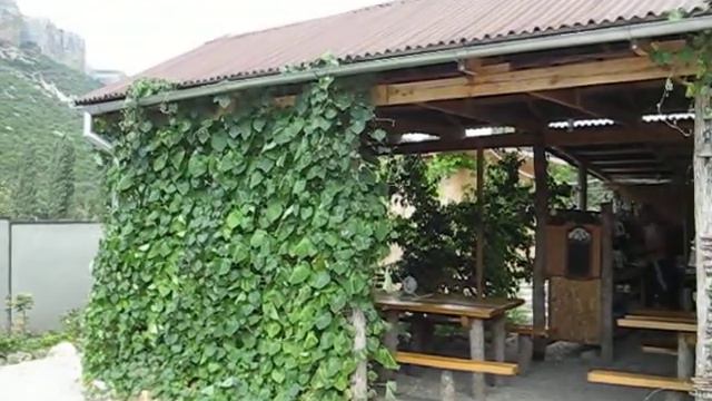 Турбаза Колесо в Баштановке смотреть онлайн