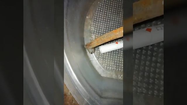 Пушистые Друзья