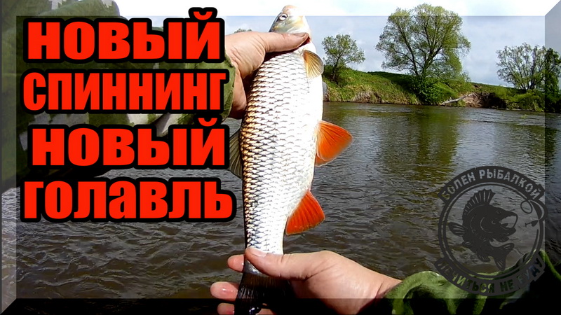 Zemex spider z-10 732ul 0.5-6 g, как спиннинг на голавля. Ловля Голавля в Мае на малой реке. смотреть онлайн