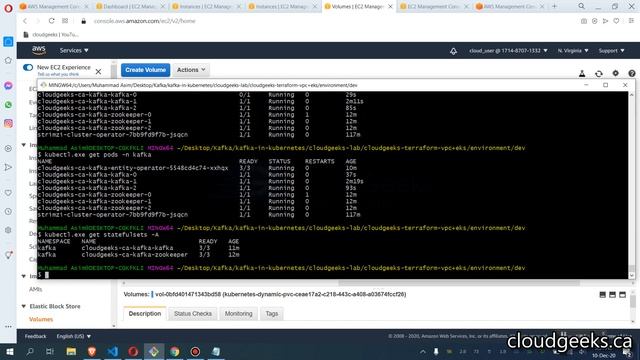 Scale Up/Down AWS EKS Kafka Using Terraform and Strimzi: Direct Pod Access with REST Endpoints смотреть онлайн