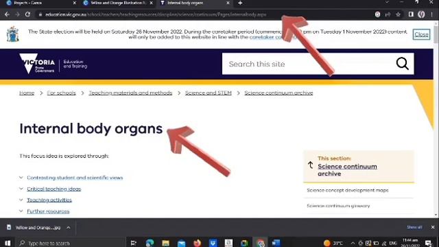 HOW TO CREATE INFOGRAPHIC USING CANVA APP смотреть онлайн