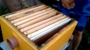 КАК ОБЪЕДИНИТЬ ДВА РОЯ ПЧЕЛ перед главным взятком в многокорпусном улье.