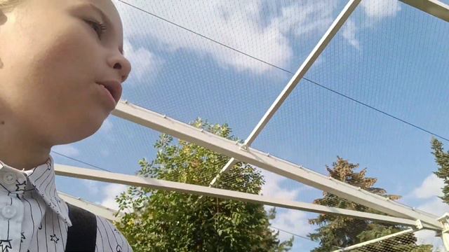 Поездка в зоопарк ✨ #зоопарк смотреть онлайн