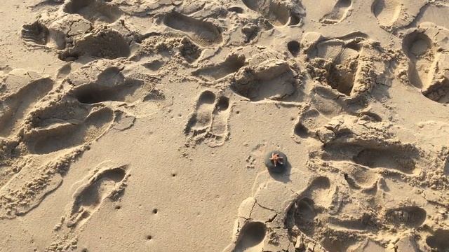 Аркашон. Атлантический океан. Франция. Bassin D'Arcachon. Océan Atlantique. France.