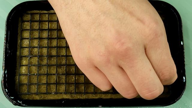 Как я сажаю базилик на бэби - лиф смотреть онлайн