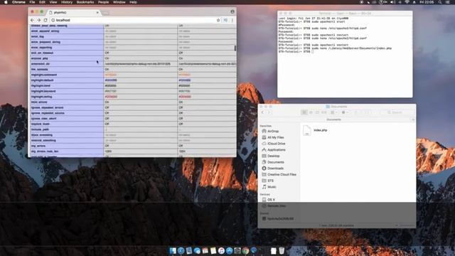 Hướng dẫn cài đặt Webserver trên MacOS (Apache, PHP, MySQL, phpMyAdmin) смотреть онлайн