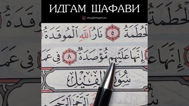 ИДГАМ ШАФАВИ