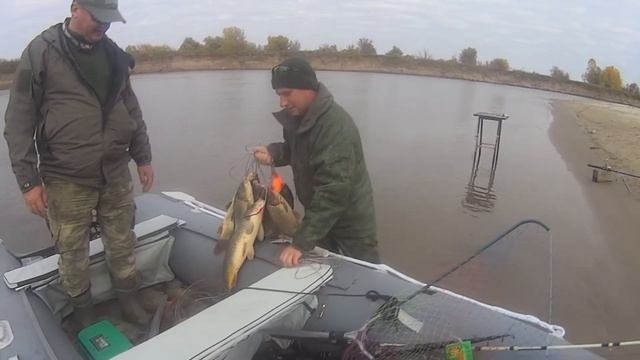 Поиск трофейного сазана на Трехречье (Астраханская область) смотреть онлайн