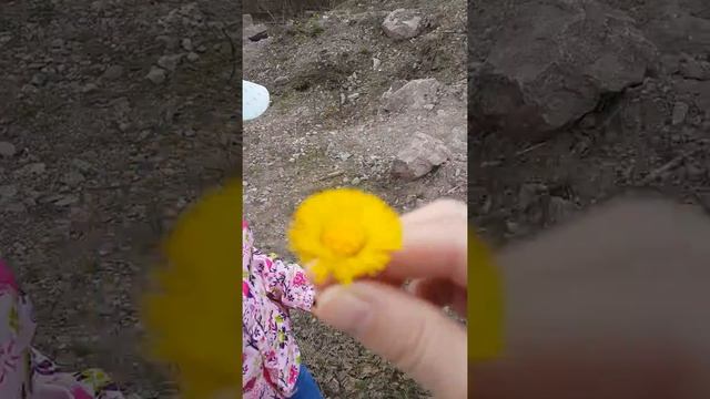Весна.Настроение хорошее.Утро на даче? смотреть онлайн