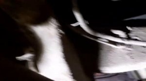 Замена задних пружин Great Wall  Н5  2011гв.  Два варианта.