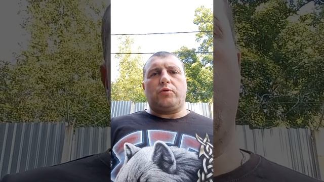 Дальше жить#тренировка#вводная смотреть онлайн