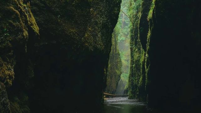 Psalm 23 Hebräisch смотреть онлайн