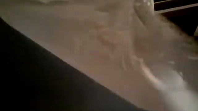 Rare Defective Oracal 651 Vinyl смотреть онлайн