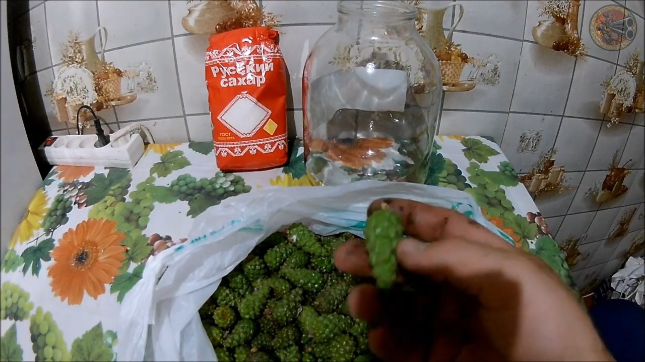 Сироп из сосновых шишек (Будни охотника и рыбака) смотреть онлайн