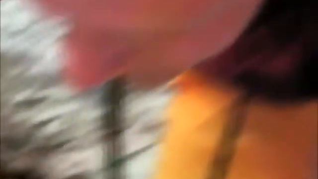 НОВЫЙ ДЕГЕНЕРАТСКИЙ ВЫПУСК ТЕЛЕПЕРЕДАЧИ "В МИРЕ ЖИВОТНЫХ". ЮНЫЕ НАТУРАЛИСТЫ СОВОКУПЛЯЮТ НАСЕКОМЫХ смотреть онлайн