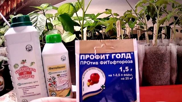 Фитофтороз.wmv смотреть онлайн