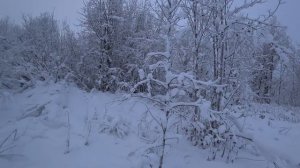 Охота зимой на зайца. Мелкашка TOZ-78-04M. 22lr