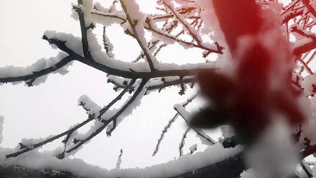 Фёдор Тютчев - Чародейкою зимою...❄️ смотреть онлайн