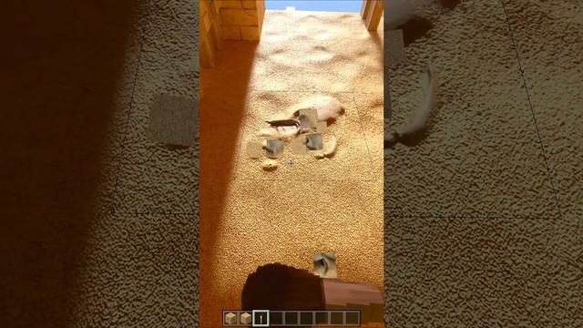 Realistic ARCHEOLOGY with Minecraft Bedrock RTX and RealSource HD pack смотреть онлайн