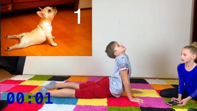 ЙОГА ЧЕЛЛЕНДЖ С ЖИВОТНЫМИ НА ВРЕМЯ / YOGA CHALLENGE the Best Challenges смотреть онлайн