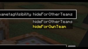 Как легко скрыть ники в вашем мире на всех версиях в Майнкрафте