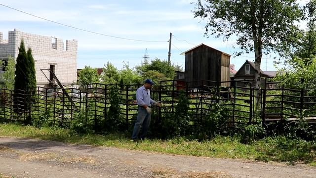 Выращивание хмеля. Усиление шпалер, подготовка к сезону. смотреть онлайн