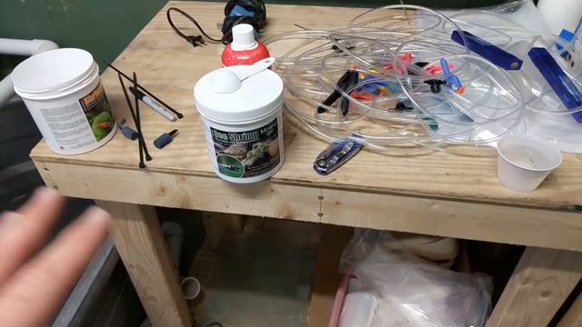 Big Mistake, RO Water for Shrimp, How to Remineralize a Freshwater Shrimp Tank смотреть онлайн