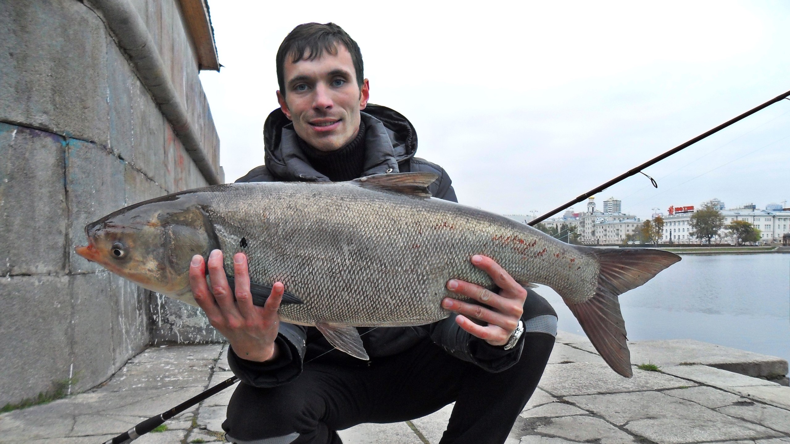 Как поймать толстолобика на спиннинг. Всё о снасти на толстолоба. Судак на 5 кг, толстолобик на 10! смотреть онлайн