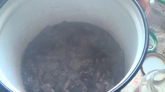 Маринованные рядовки. Рецепт. смотреть онлайн