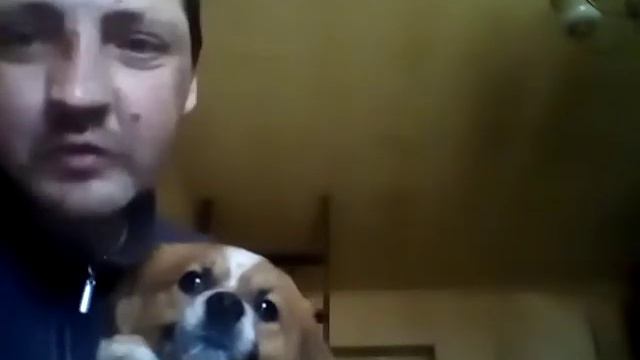 Потеряшка!!! смотреть онлайн
